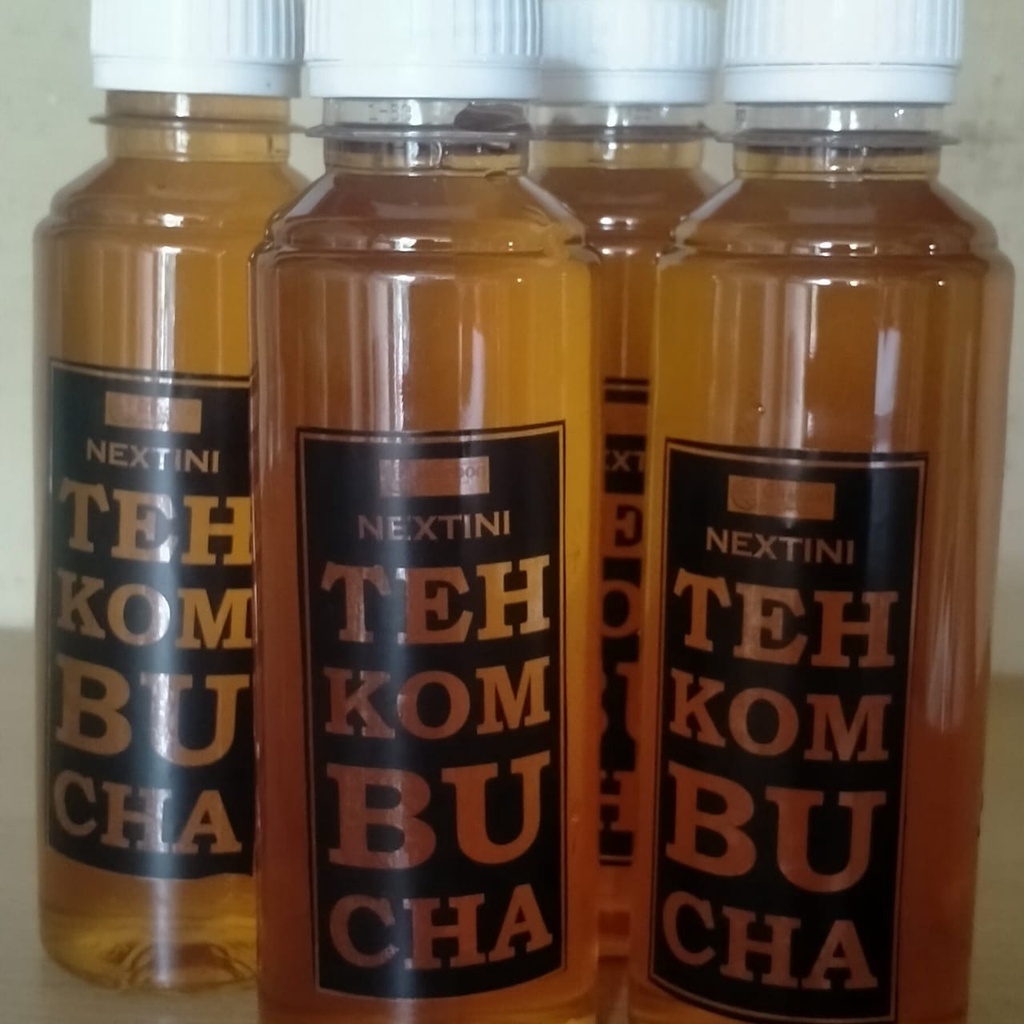 

The Kombucha Nextini