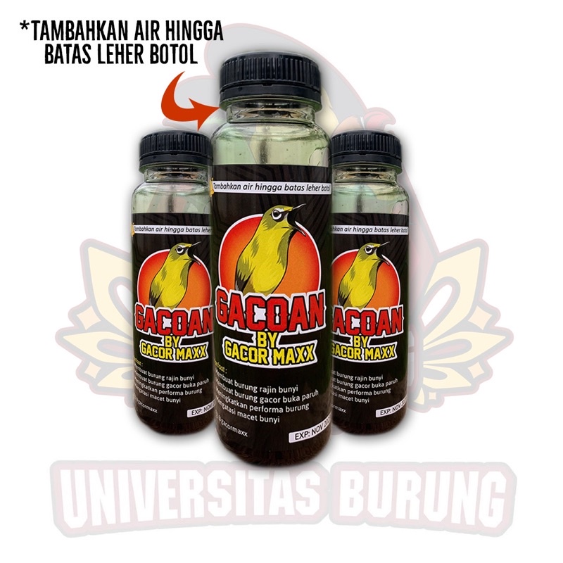 DOPING PLECI GACOAN vitamin tambahan pleci cepat gacor ngalas