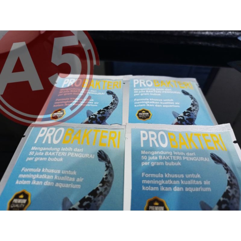 Obat ikan fish lover PRO BAKTERI 10GR