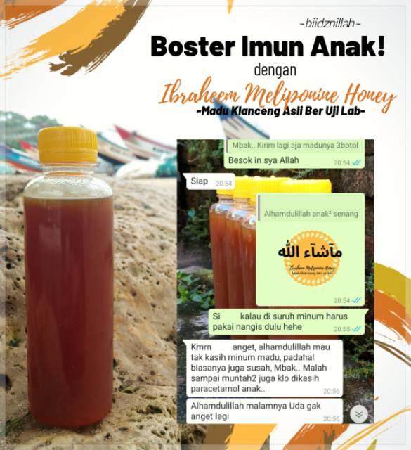 Madu klanceng/madu trigona 100% murni