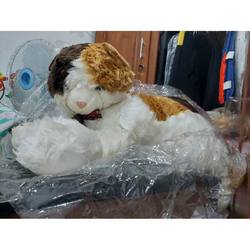 boneka kucing jumbo