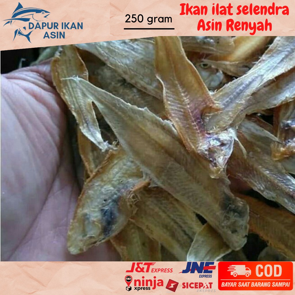 

Ikan Asin Ilat-ilatan Selendra Murah Enak 250gram