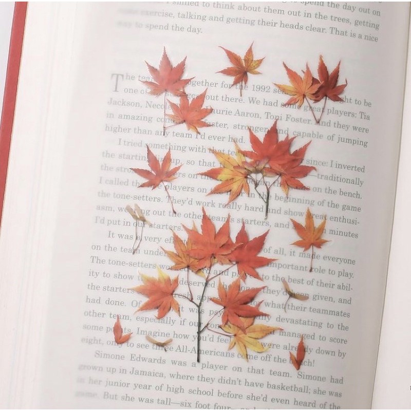 

Appree - Press Leaf Stickers