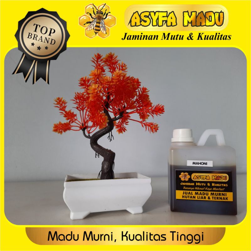

madu hutan pahit murni nektar mahoni kemasan ½ kg