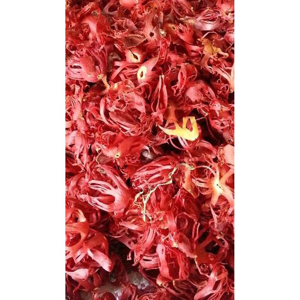 

terabaru BUNGA PALA / SEMPRA / PULI 500 GRAM TERLARIS segar