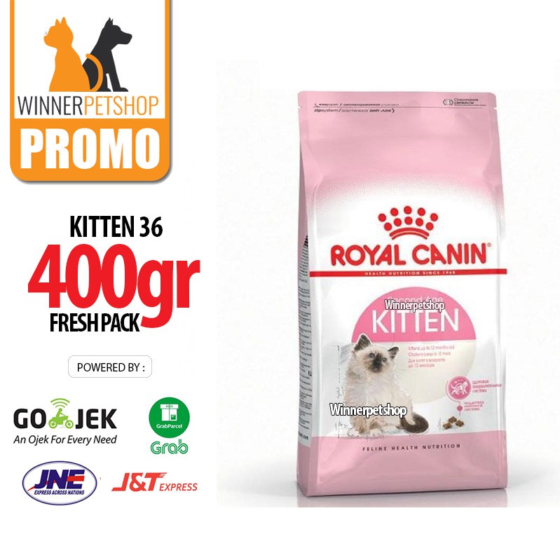 Jual Royal Canin Kitten 36 - 400Gr Indonesia|Shopee Indonesia