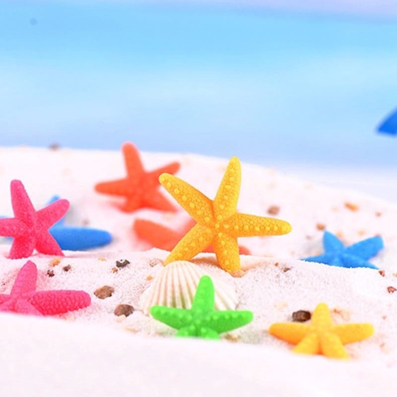 Miniatur Bintang Laut - Miniatur Starfish untuk hiasan Terrarium Laut - Hiasan Aquarium Ikan