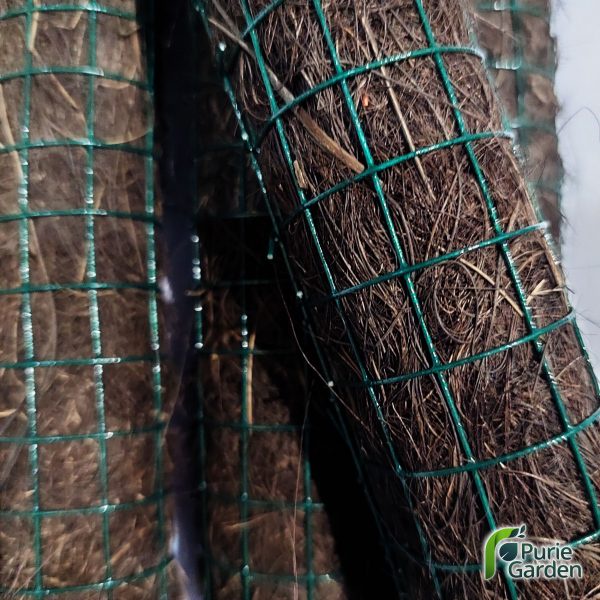 Turus Ijuk Penyangga Tiang Tanaman Rambat 48cm – K PG KDR