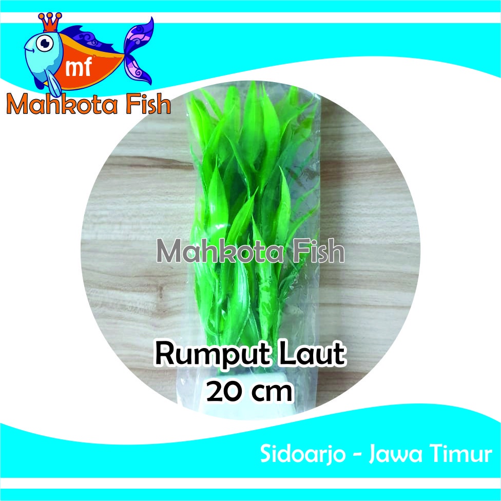 Hiasan Aquarium Rumput Laut 20cm | Bunga Plastik Aquarium | Bunga Hiasan Aquarium | Tanaman Hias Aquarium