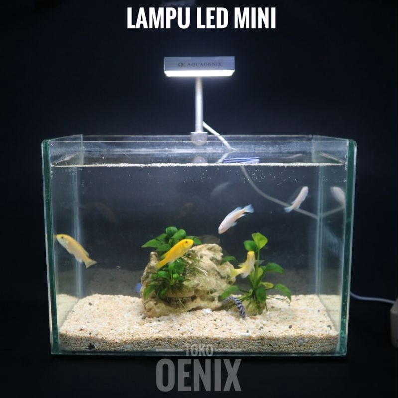 lampu led aquarium mini soliter cupang