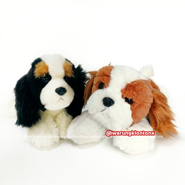 Boneka Anjing King Charles Cavalier Spaniel Plush Kualitas Export