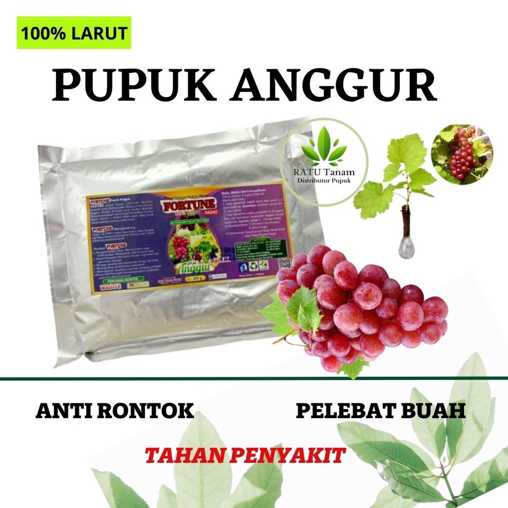 Pupuk Booster Anggur, Pupuk Anggur Agar Cepat Berbuah, Pupuk Anggur Masa Pertumbuhan, Pupuk Buah