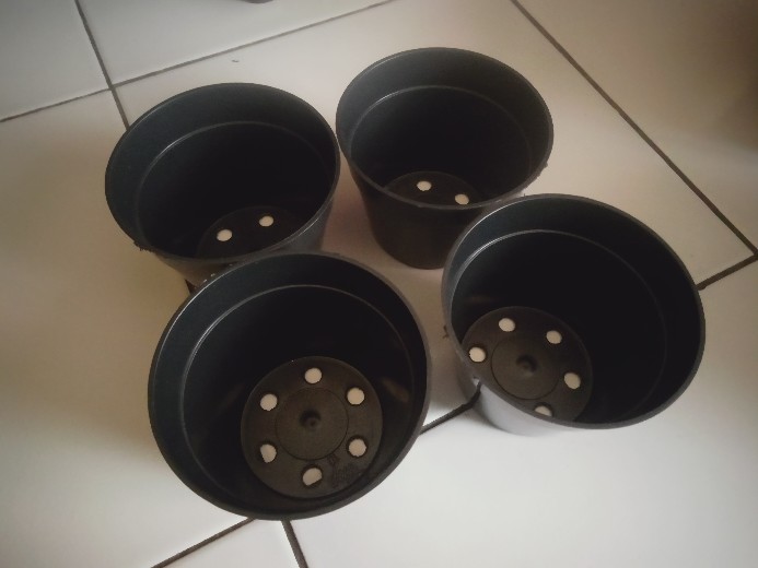 Pot Bunga Plastik 10 Cm Pot Es Krim Plastik Baru Pot Hidroponik