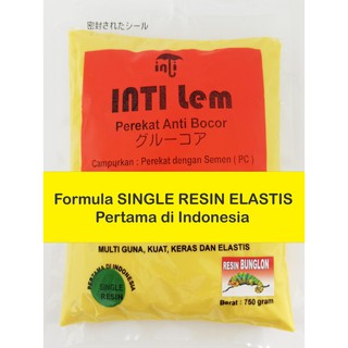 Dempul Mobil  Cat  mobil  anti  karat  inti lem 750g Shopee 