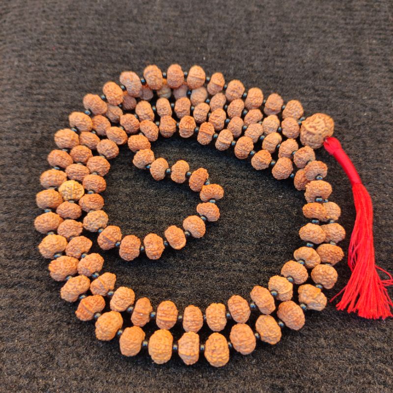 Ganesha Jenitri Rudraksha Original