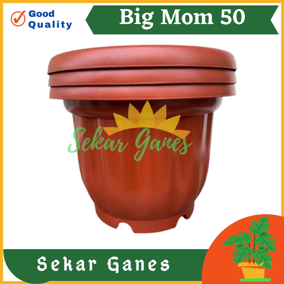 Sekarganes ONLY SAMEDAY AND INSTAN Pot BIGMOM 50 Putih Hitam Merah Bata Merah Coklat Terracota Terracotta  - Pot Besar Jumbo 50cm Pot Besar Plastik Bahan Tebal - Pot Besar Jumbo 100cm 50cm 40cm Putih Tinggi Hitam