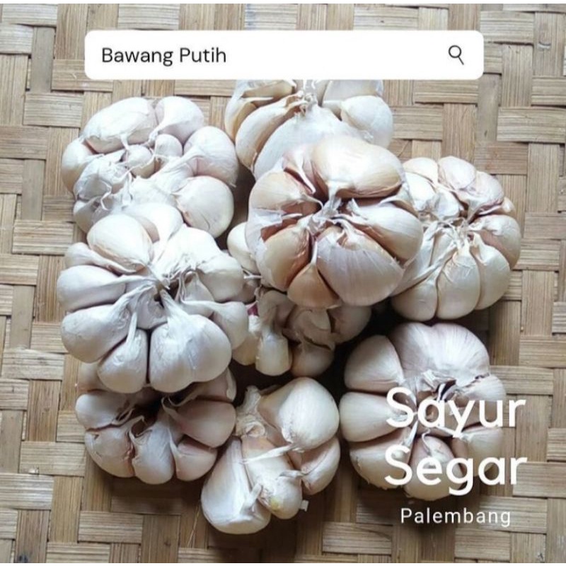 

Bawang Putih Per 250 Gr
