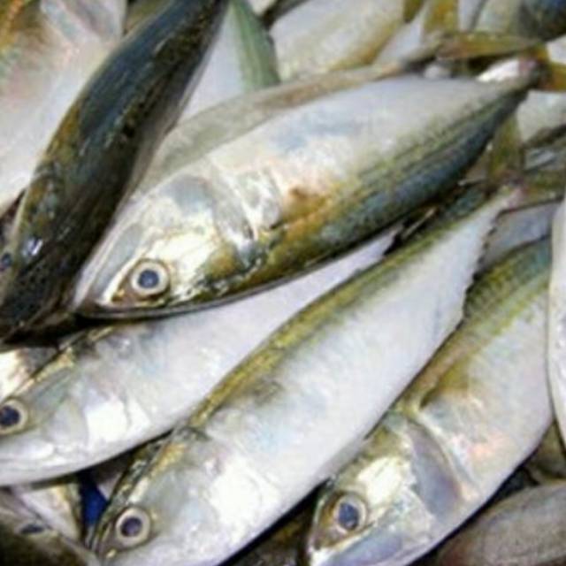 

Ikan Kembung 1/2