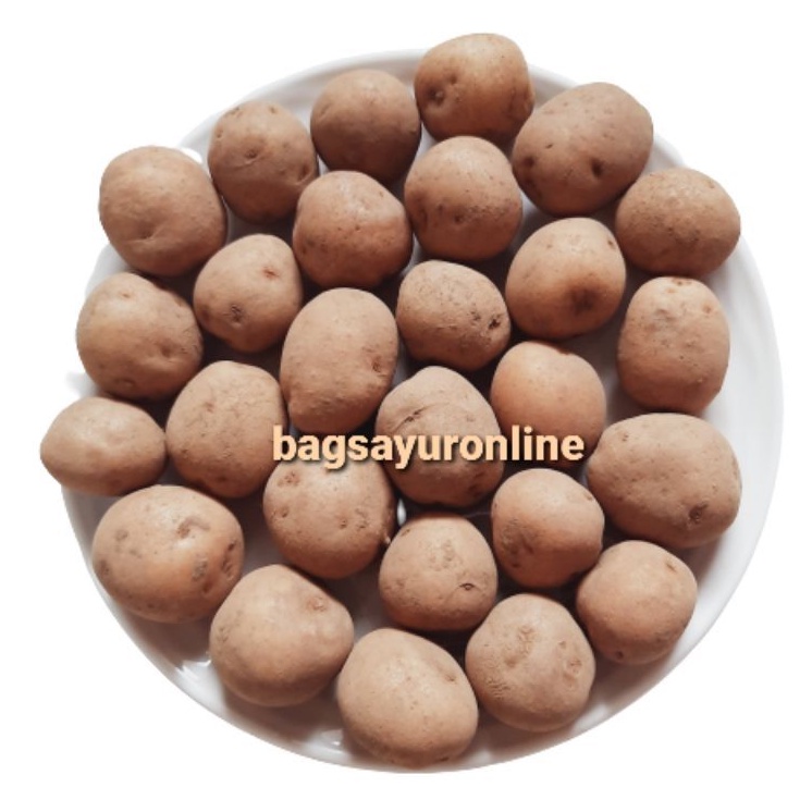 

Kentang Kecil / Kentang Baby 500 gr