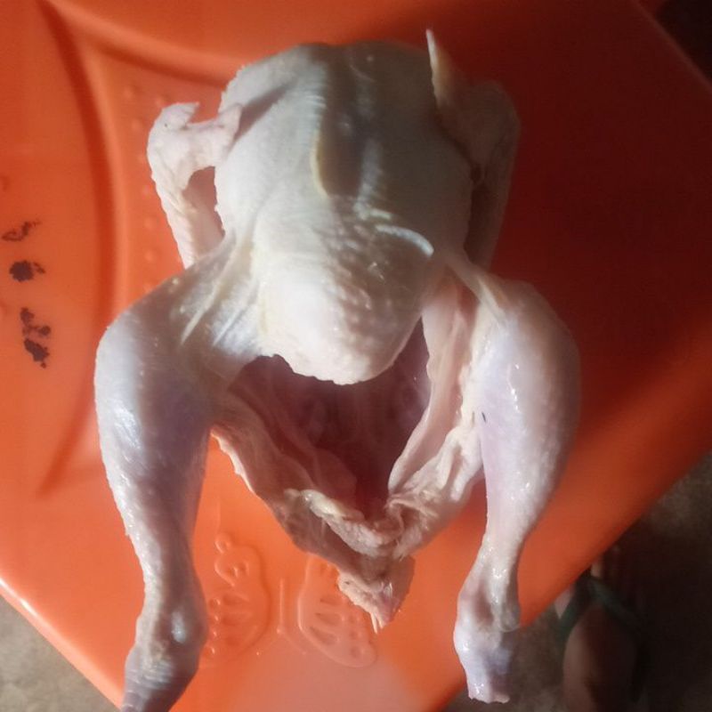 

karkas ayam fresss