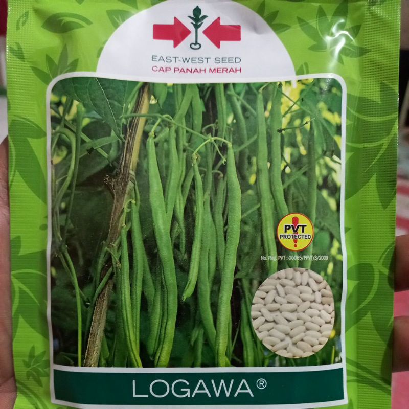 benih buncis logawa 225 butir