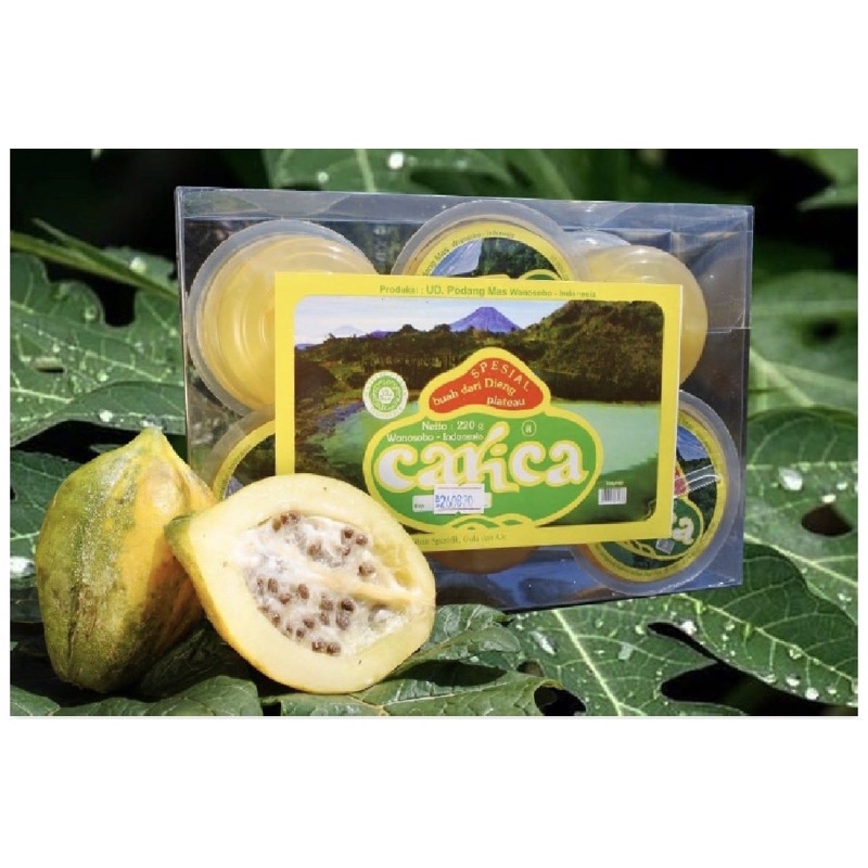 

Carica Mangkuk Besar isi 6 PodangMas