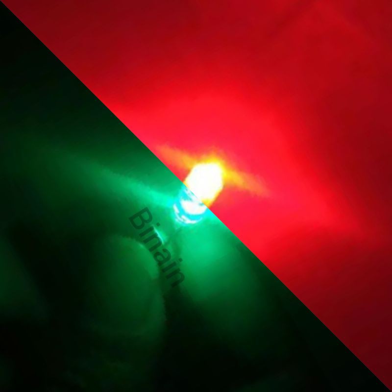 LAMPU 20pcs LAYANGAN GAPANGAN SAWANGAN 2 WARNA kedip