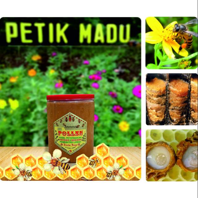 

Madu Bee Pollen Fatty Liver 600gram kemasan toples plastik