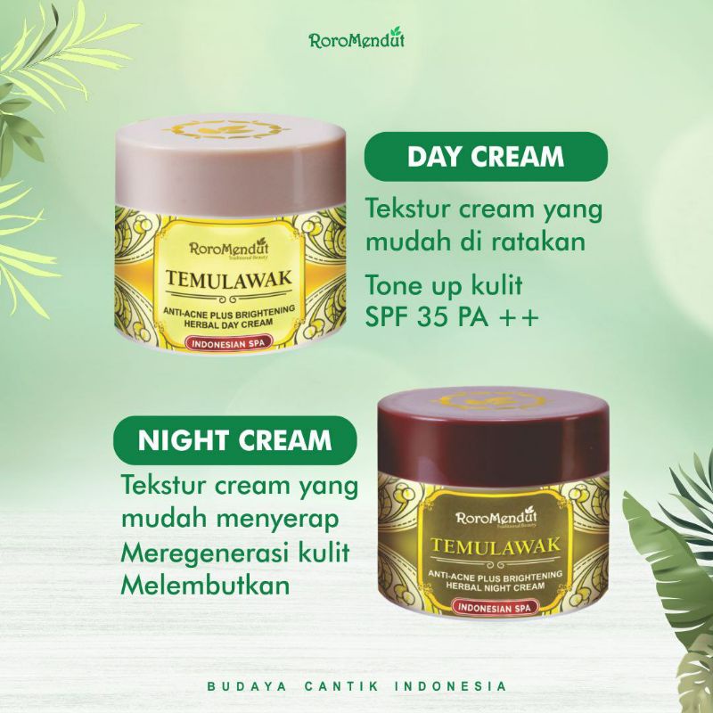 Paket Starter Temulawak Roro Mendut Skincare