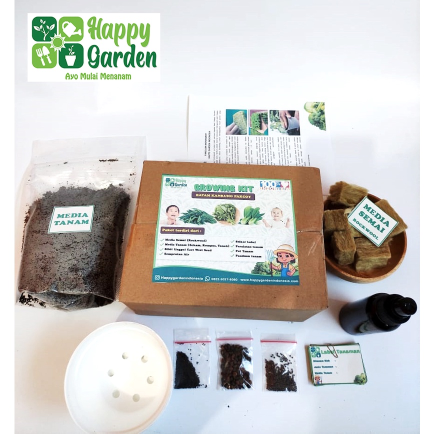 PAKET MENANAM ANAK GROWING KIT BAYAM KANGKUNG POKCOY MAINAN ANAK