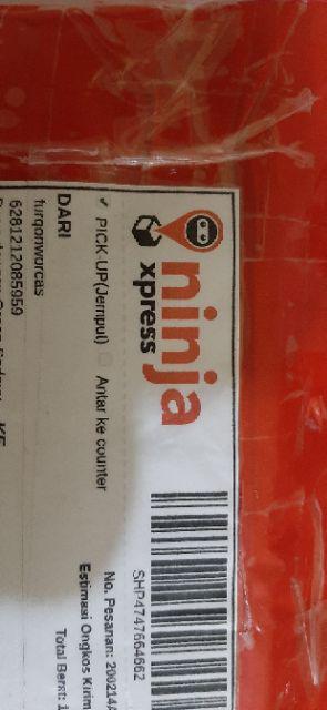 Green Bean Arabica Flores Manggarai Yellow Caturra 1kg