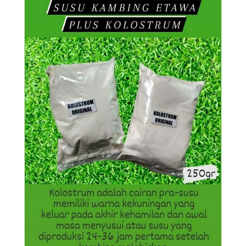 

susu kambing etawa plus colostrum