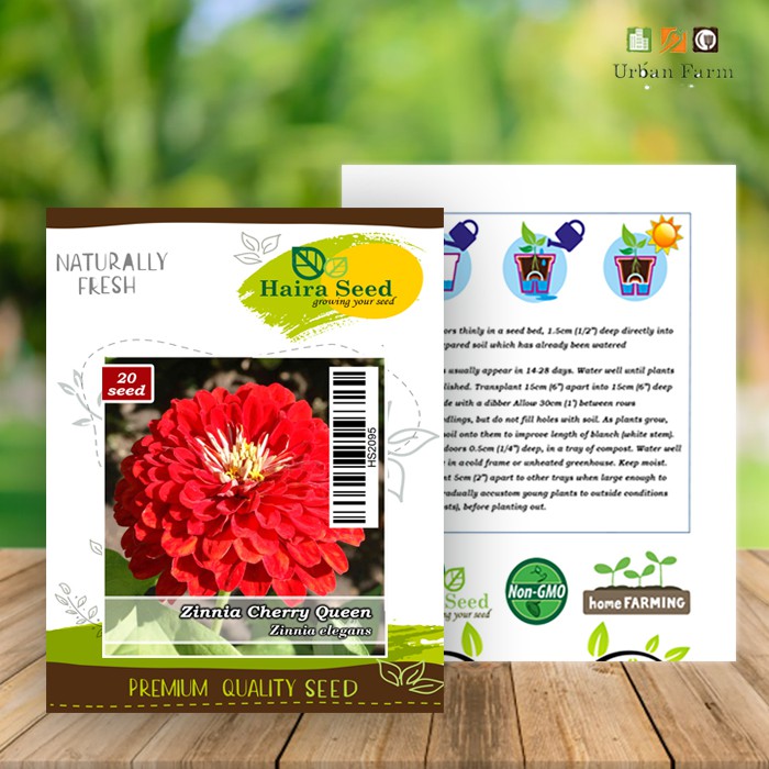 Benih-Bibit Bunga Zinnia Cherry Queen (Haira Seed)