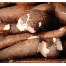 

Singkong 1kg