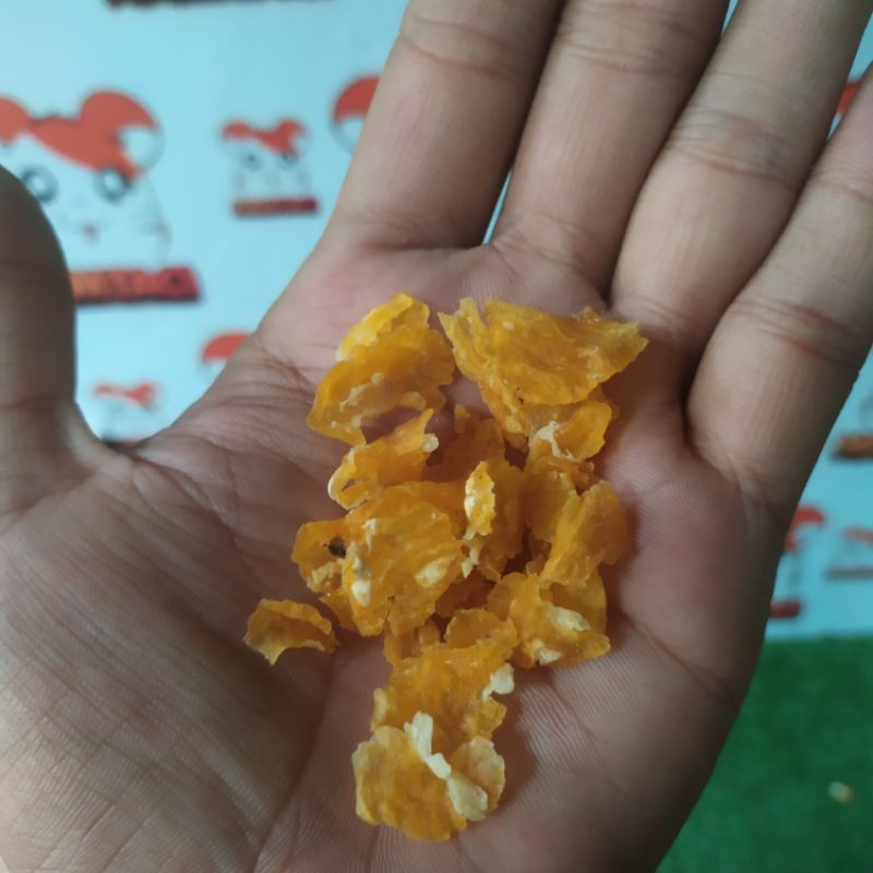 DRIED CORN FLAT/JAGUNG PIPIH | CAMILAN HAMSTER/GERBIL FOR DAILY NUTRITION