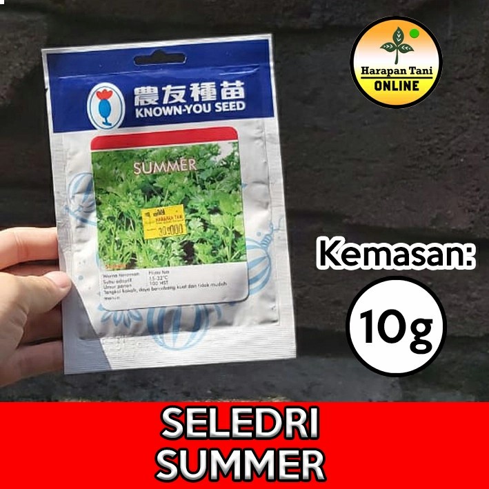 Summer 10g | Seledri | Known You Seed