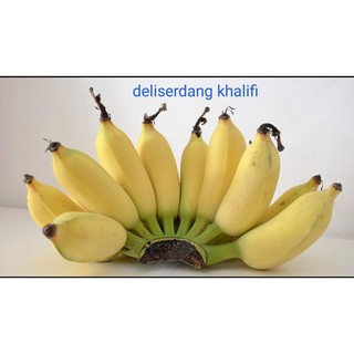 Pisang Banten 1 Sisir Shopee Indonesia