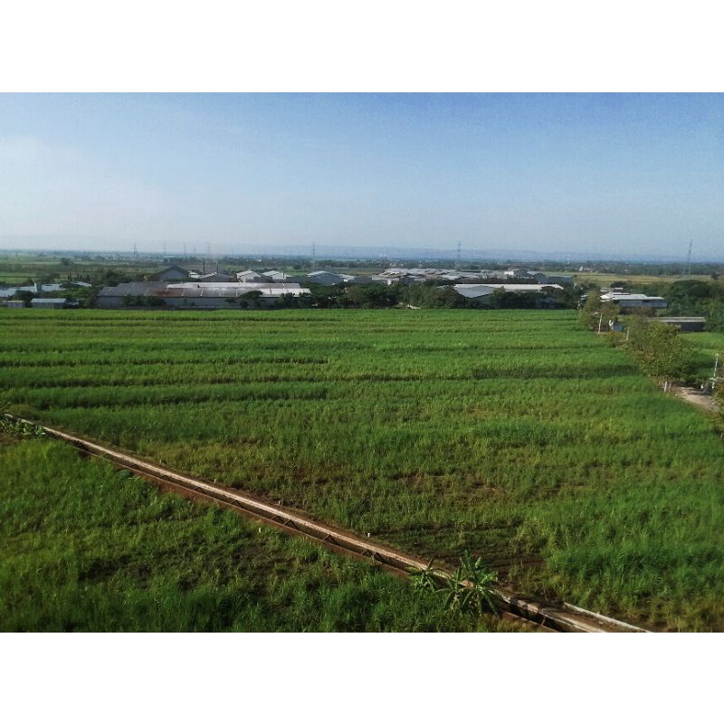 dji tello second normal