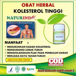 Jual Obat Kolesterol Obat Herbal Trigliserida Tinggi Ampuh Lemak Darah ...