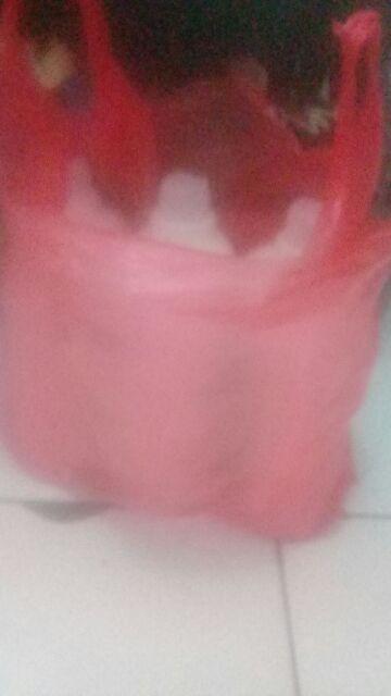 Mawar Super Karbol Cemara 1 Liter