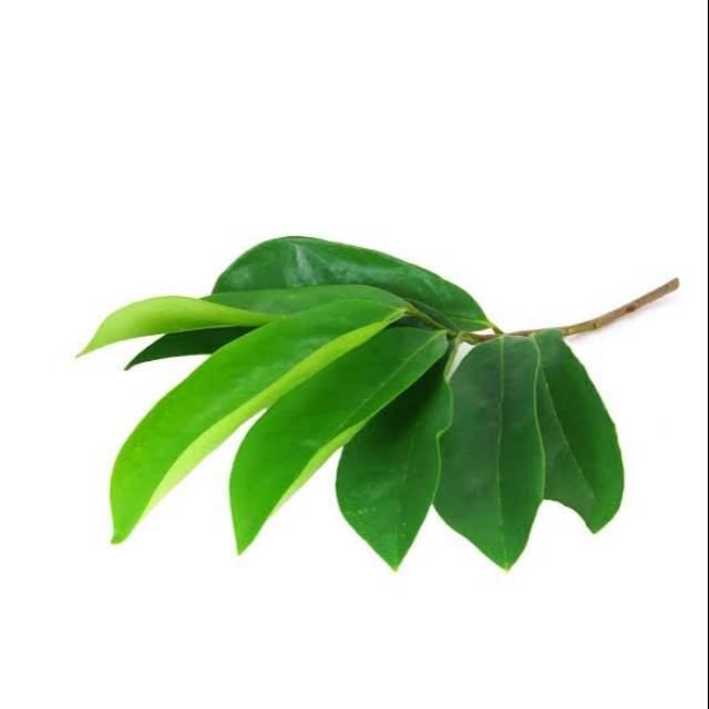 

Daun Sirsak