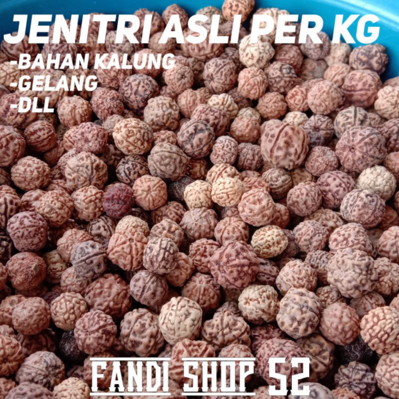 jenitri per kg murah,jenitri asli