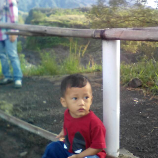 amartani