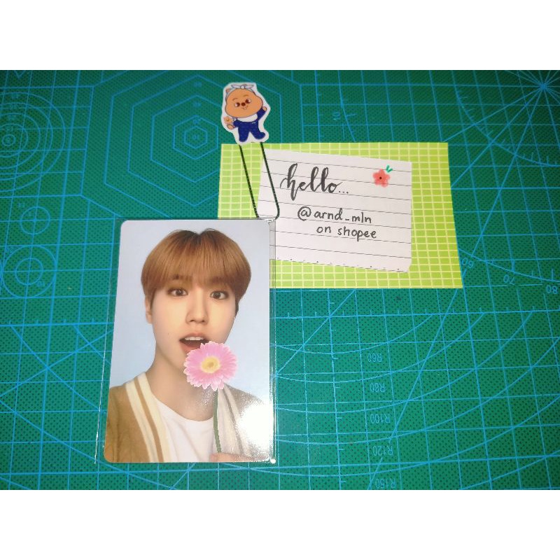 [READY] Han Jisung Nacific round 10