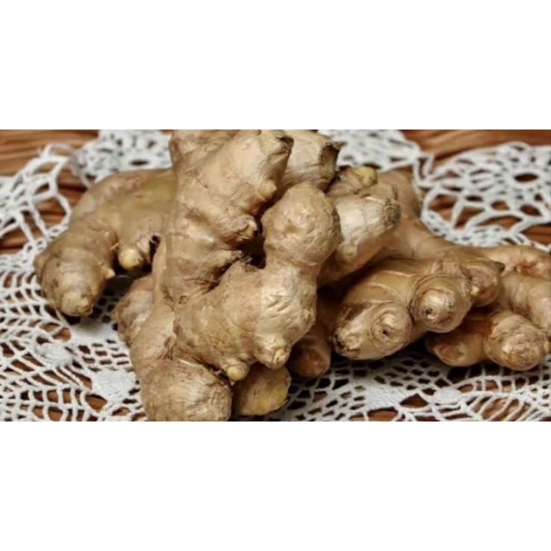 

Jehe Emprit / Jahe Kecil Bersih Kualitas Super 1kg
