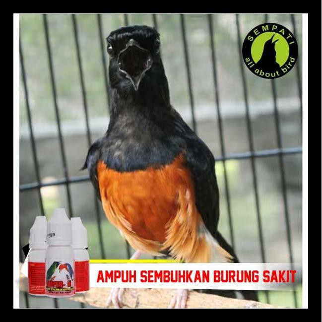 Super N Super Kicau Obat Burung Sakit Infeksi Pencernaan Diare