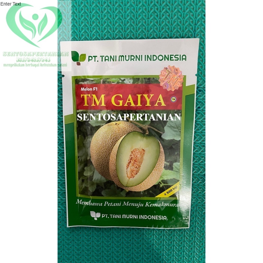 Benih melon anti virus hibrida F1 TM GAIYA isi ±500biji dari TANI MURNI INDONESIA