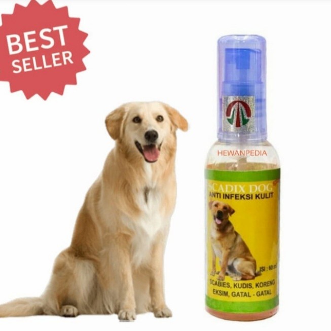 scadix dog obat anti infeksi kulit anjing 60ml