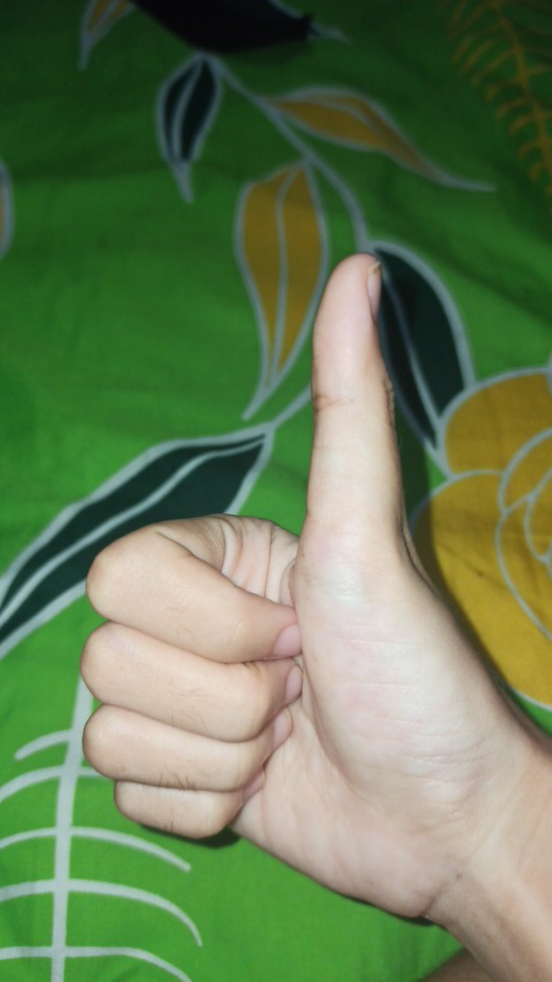 Alat Press Makanan Vacuum Sealer Vakum Makanan Freshpack Pro Vacum Sealer