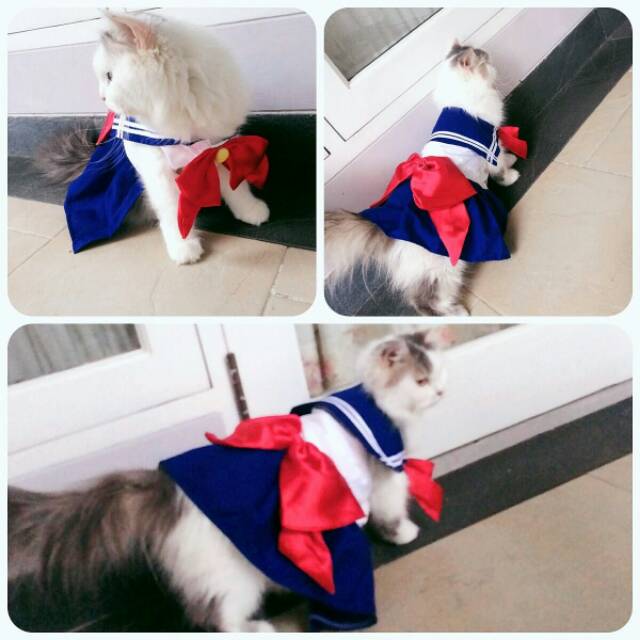 Dress sailormoon untuk kucing dan anjing / baju kucing lucu size S M L XL / baju kucing model baru